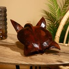 Сувенир «Черепаха», 30×20×8.5 см, албезия - фото 24290118