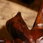 Сувенир «Черепаха», 30×20×8.5 см, албезия - фото 24290119