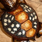 Сувенир «Черепаха», 30×20×8.5 см, албезия - фото 24290120