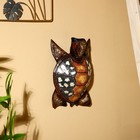 Сувенир «Черепаха», 30×20×8.5 см, албезия - фото 24290121