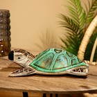 Сувенир «Черепаха с чёрным носом», 30×20×6 см, албезия - Фото 2