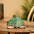 Сувенир «Черепаха с чёрным носом», 30×20×6 см, албезия - Фото 3