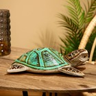 Сувенир «Черепаха с чёрным носом», 30×20×6 см, албезия - Фото 4