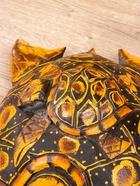 Сувенир «Черепаха», 30×20×6 см, дерево албезия - фото 57972781