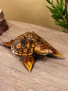 Сувенир «Черепаха», 30×20×6 см, дерево албезия - фото 57972782