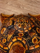 Сувенир «Черепаха», 30×20×6 см, дерево албезия - фото 59348700