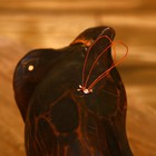 Сувенир "Черепаха" албезия 50х40х20 см - Фото 7