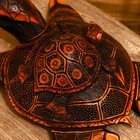 Сувенир "Черепаха" албезия 50х40х20 см - Фото 8