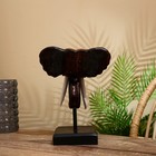 Сувенир «Голова слона», на подставке, 35 см, дерево албезия - Фото 4