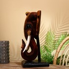 Сувенир "Голова слона" на подставке, албезия 45 см - Фото 3
