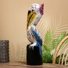 Сувенир "Пеликан" албезия 50 см - Фото 3
