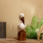 Сувенир "Пеликан" албезия 30 см - фото 10327549