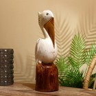 Сувенир "Пеликан" албезия 40 см - фото 3067714