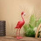 Сувенир "Фламинго" албезия 30 см - фото 319324636