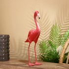 Сувенир "Фламинго" албезия 40 см - фото 319324641