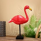 Сувенир "Фламинго" албезия 40 см - фото 6838217