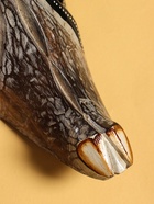 Маска "Буйвол" албезия 45х7х30 см - фото 809276320