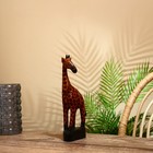 Сувенир "Жирафик" албезия 12х6х30 см - фото 1464505