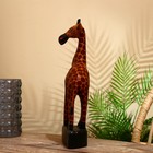 Сувенир "Жирафик" албезия 15х10х40 см - фото 6838241