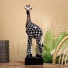 Сувенир "Жирафик" албезия 16х10х50 см - Фото 2