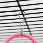 Игрушка для птиц «Разноцветные кольца» 5 шт., пластик, разноцветная - Фото 6