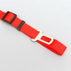 Автомобильный ремень безопасности для собак особо прочный, 68 х 2,5 см, микс цветов - Фото 6