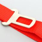 Автомобильный ремень безопасности для собак особо прочный, 68 х 2,5 см, микс цветов - Фото 4