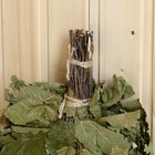 Веник для бани дубовый в индивидуальной упаковке - фото 24398794