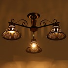 Люстра "Сина" 3хЕ27 40Вт черно-золотой 65х65х28 см BayerLux 9214985