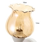 Бра "Молла" Е27 40Вт бело-золотой 18х20х15 см - Фото 4