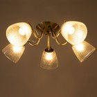 Люстра "Эсм BayerLuxина" 5хЕ27 40Вт бронза 50х50х19 см BayerLux 9227463 Люстра "Эсм BayerLuxина" 5хЕ27 40Вт бронза 50х50х19 см BayerLux 9227463