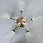 Люстра "Эсм BayerLuxина" 5хЕ27 40Вт бронза 50х50х19 см BayerLux 9227463 Люстра "Эсм BayerLuxина" 5хЕ27 40Вт бронза 50х50х19 см BayerLux 9227463