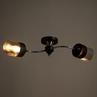 Люстра "Эстель" 2хЕ27 40Вт чёрно-хромовый 60х20х23 см BayerLux - Фото 3