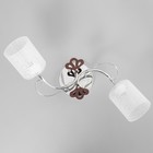 Люстра BayerLux «Авиэтта», 2хЕ27, 40 Вт, хром, 58×23×26 см - Фото 4