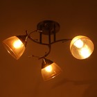 Люстра потолочная BayerLux «Аста», 3хЕ27, 40 Вт, бронза, 65×65×26 см - фото 22077248