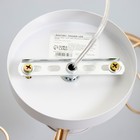 Люстра BayerLux «Вива», 2хЕ27, 40 Вт, белый/золотой, 56×23×23 см - фото 4720073