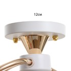 Люстра BayerLux «Вива», 2хЕ27, 40 Вт, белый/золотой, 56×23×23 см - фото 4720067