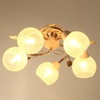 Люстра "Вива" 5хЕ27 40Вт бело-золотой 53х53х23 см - фото 805373406