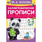 Каллиграфические прописи М.А.Жукова. Пишем, обводим, дорисовываем. 5-6лет. 9519620 - фото 10329403