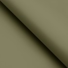 Пленка для цветов тонированная, матовая, оливковый, 57 х 57 см, 70 мкм МИКС - Фото 2