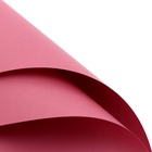 Пленка для цветов тонированная, матовая, марсала, 57×57 см, 70 мкм МИКС - Фото 4