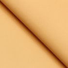 Пленка для цветов тонированная, матовая, дынный, 56х56 см, 70 мкм - Фото 2
