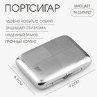 Портсигар на 14 сигарет, 9.2×6.7×1.3 см - Фото 1