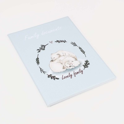 Папка для семейных документов,4 комплекта, цвет серо-голубой