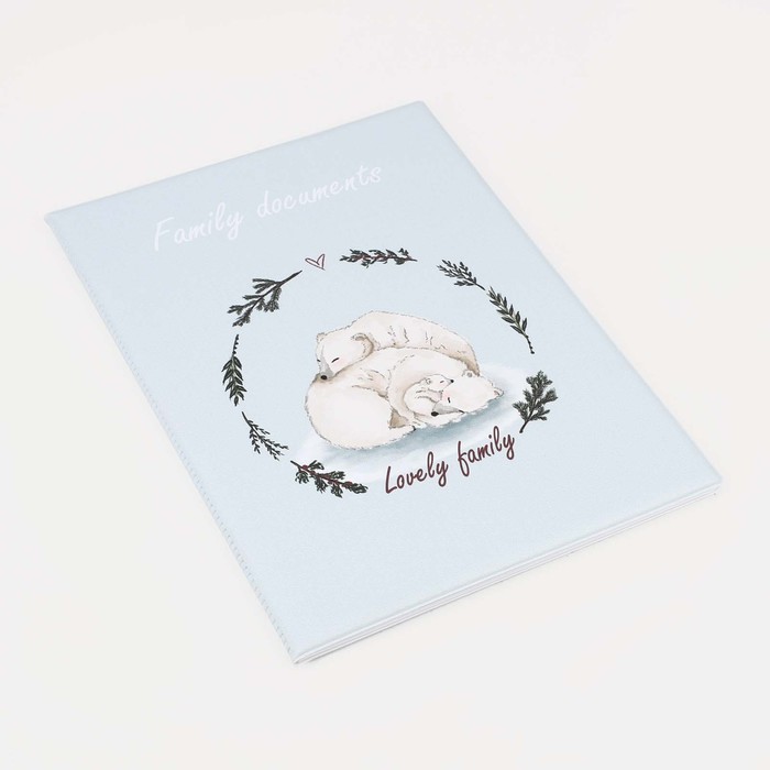 Папка для семейных документов,4 комплекта, цвет серо-голубой - Фото 1