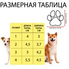 Ботинки для животных «Элеганс», набор 4 шт., размер 2 (подошва 4.5×3.7 см) коричневые - Фото 8