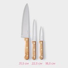 Набор кухонных ножей Доляна Wооd, набор 3 шт, лезвие: 8 см, 12 см, 19,5 см, ручка деревянная - Фото 2