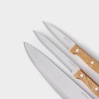 Набор кухонных ножей Доляна Wооd, набор 3 шт, лезвие: 8 см, 12 см, 19,5 см, ручка деревянная - Фото 3