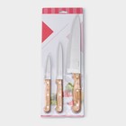 Набор кухонных ножей Доляна Wооd, набор 3 шт, лезвие: 8 см, 12 см, 19,5 см, ручка деревянная - Фото 4
