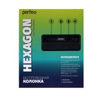 Портативная колонка Perfeo HEXAGON, FM, MP3, microSD, USB, AUX, 50 Вт, 3600 мАч, черная - фото 51325736